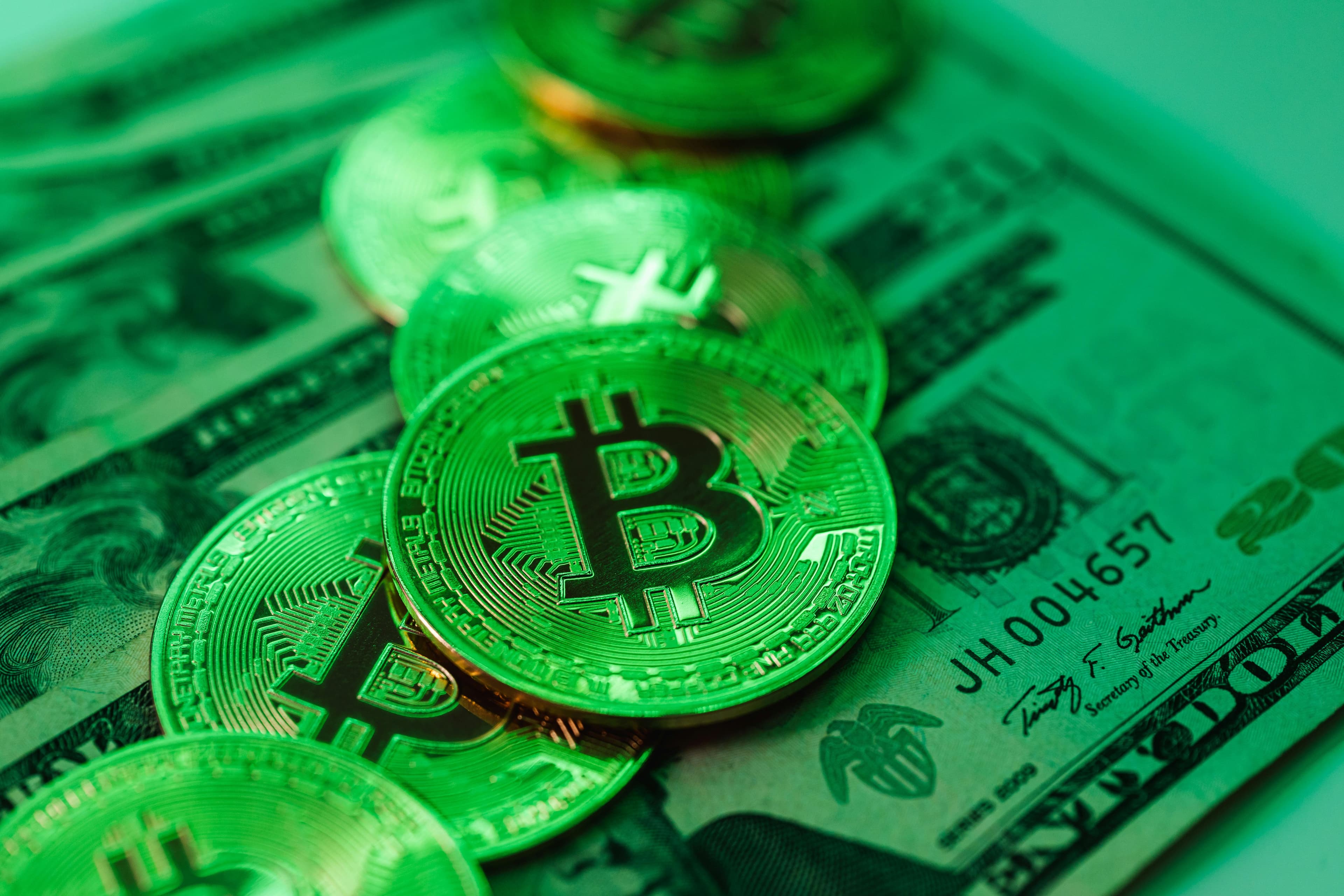 Woman's hand holding dollars
